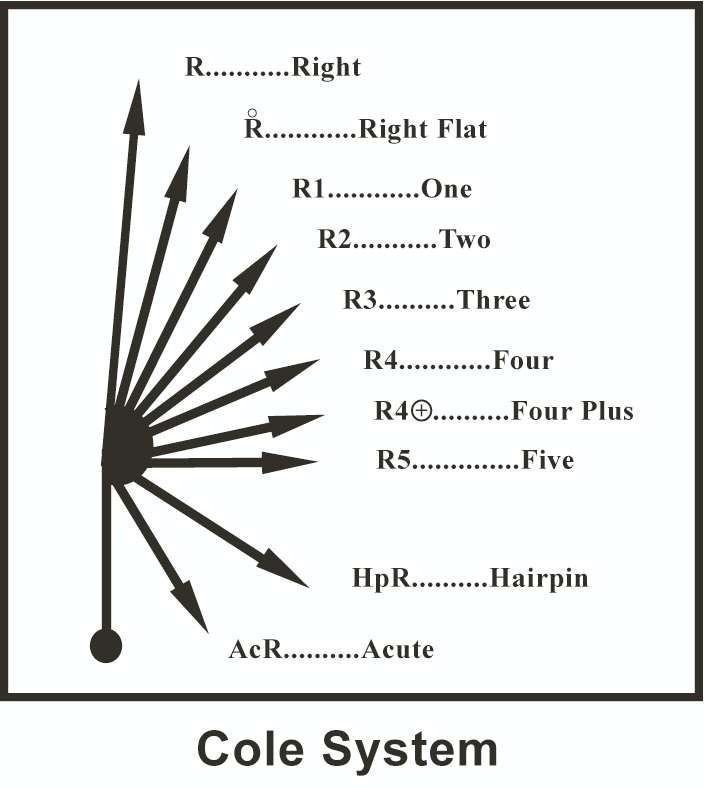 rallynews.net - /notes/Images/